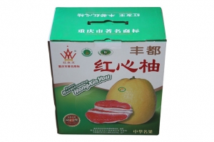 身邊常常出現塑料袋承重不行問題，你有真正了解過嗎